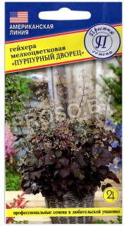 Гейхера мелкоцветковая Пурпурный дворец