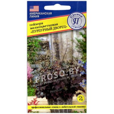 Гейхера мелкоцветковая Пурпурный дворец