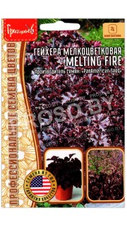 Гейхера мелкоцветковая Melting fire