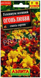 Гелениум осенний Огонь любви, смесь