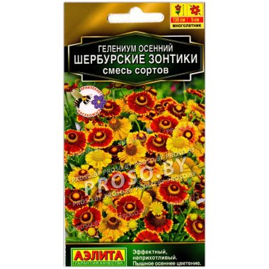 Гелениум осенний Шербурские зонтики, смесь