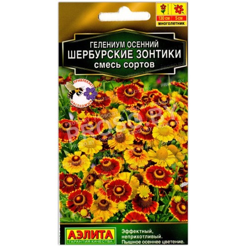 Гелениум осенний Шербурские зонтики, смесь
