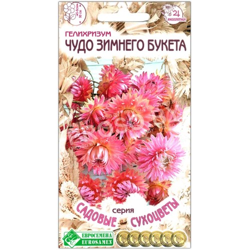 Гелихризум Чудо зимнего букета