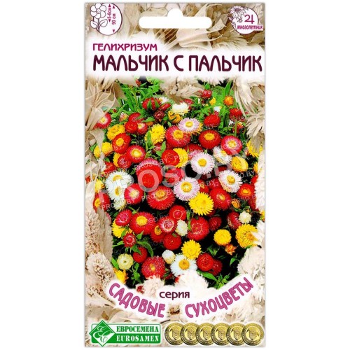 Гелихризум Мальчик с пальчик