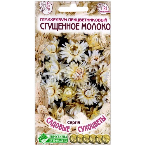 Гелихризум прицветниковый Сгущенное молоко