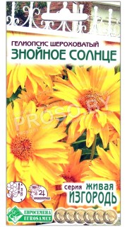 Гелиопсис шероховатый Знойное солнце