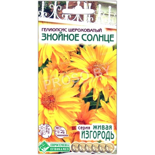 Гелиопсис шероховатый Знойное солнце