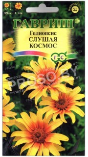 Гелиопсис Слушая космос