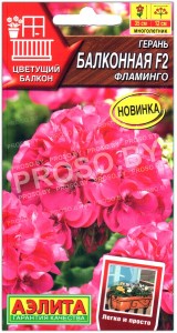 Герань Балконная фламинго F2