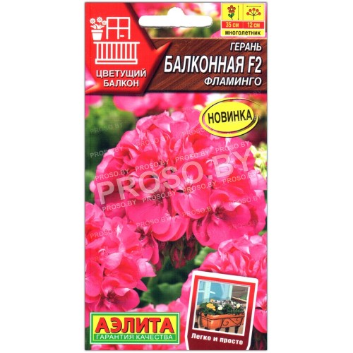 Герань Балконная фламинго F2