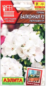 Герань Балконная перламутр F2
