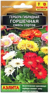 Гербера гибридная Горшечная, смесь
