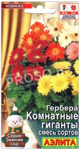 Гербера Комнатные гиганты, смесь
