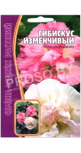 Гибискус Изменчивый