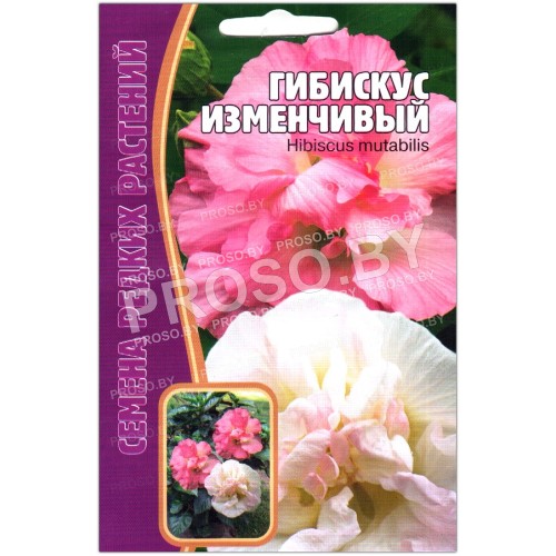 Гибискус Изменчивый