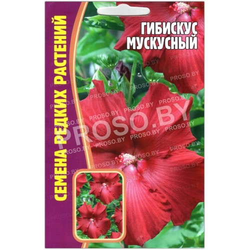 Гибискус Мускусный