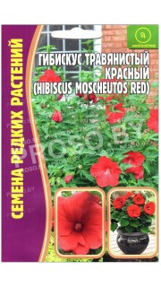 Гибискус травянистый Красный