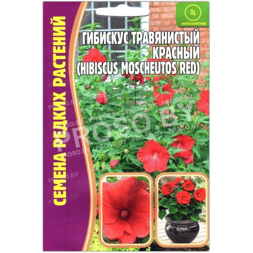 Гибискус травянистый Красный