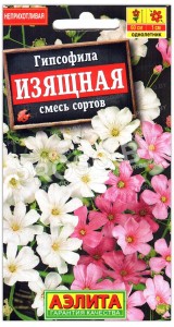 Гипсофила Изящная, смесь