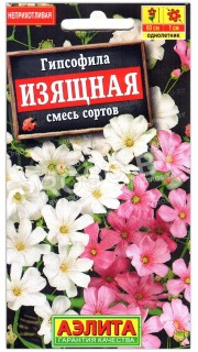 Гипсофила Изящная, смесь
