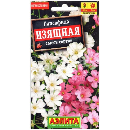 Гипсофила Изящная, смесь