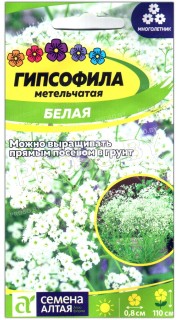 Гипсофила метельчатая Белая