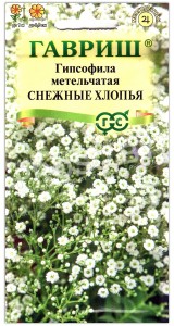 Гипсофила метельчатая Снежные хлопья