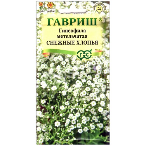 Гипсофила метельчатая Снежные хлопья
