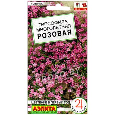 Гипсофила многолетняя Розовая