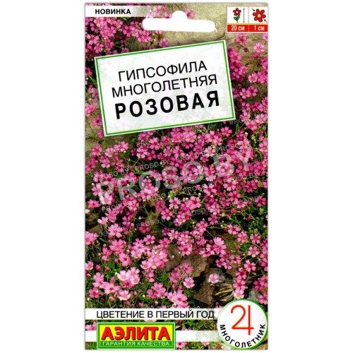 Гипсофила многолетняя Розовая