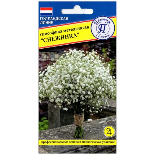 Гипсофила Снежинка