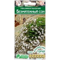 Гипсофила ползучая Безмятежный сон