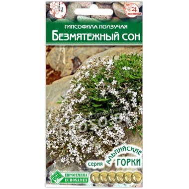 Гипсофила ползучая Безмятежный сон