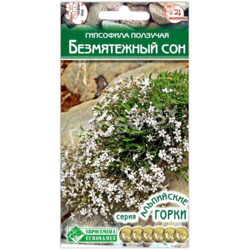 Гипсофила ползучая Безмятежный сон