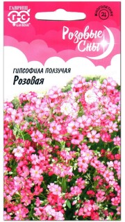 Гипсофила ползучая Розовая