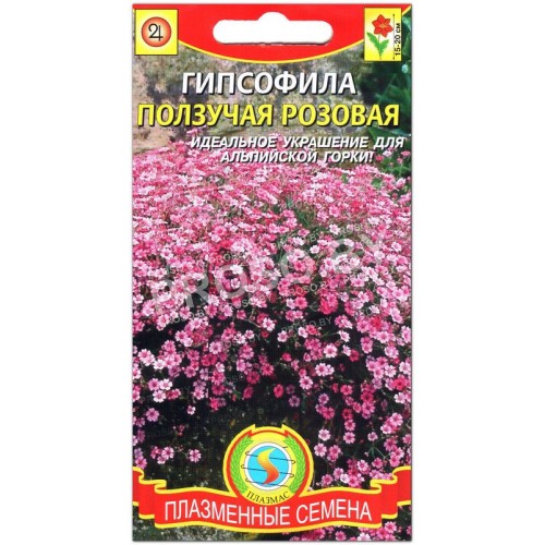Гипсофила ползучая Розовая-1