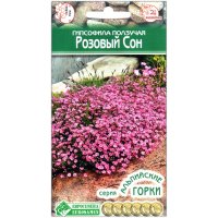 Гипсофила ползучая Розовый сон