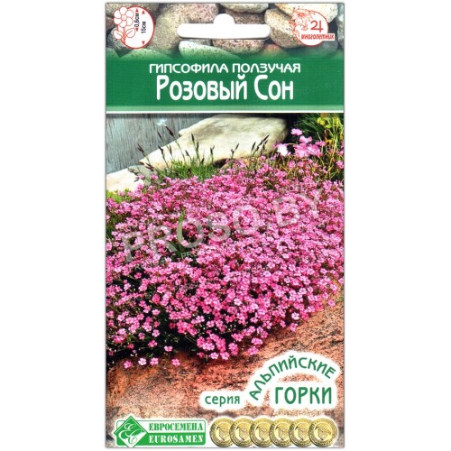 Гипсофила ползучая Розовый сон