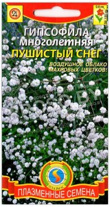 Гипсофила Пушистый снег