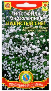 Гипсофила Пушистый снег