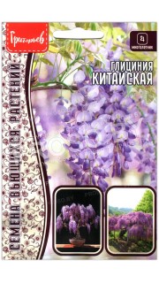 Глициния Китайская