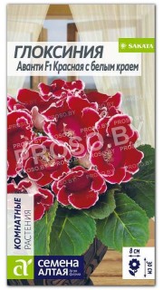Глоксиния Аванти Красная с белым краем F1