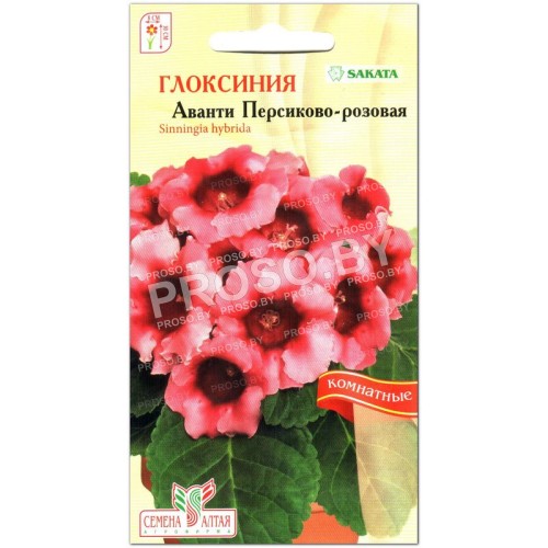 Глоксиния Аванти Персиково-розовая F1