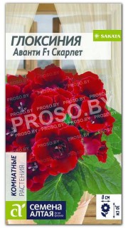 Глоксиния Аванти Скарлет F1