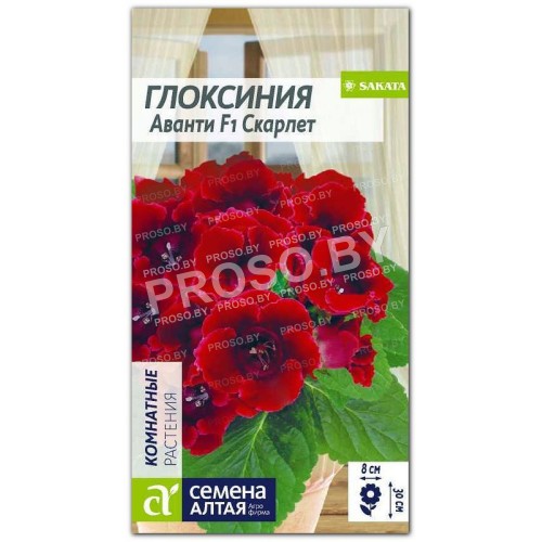 Глоксиния Аванти Скарлет F1