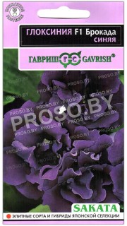 Глоксиния Брокада синяя F1