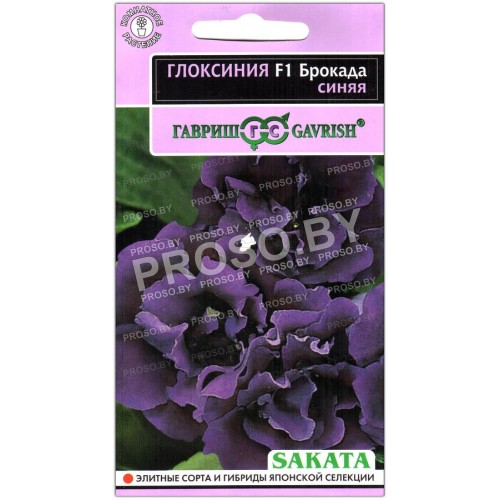 Глоксиния Брокада синяя F1