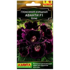 Глоксиния изящная Аванти блю F1