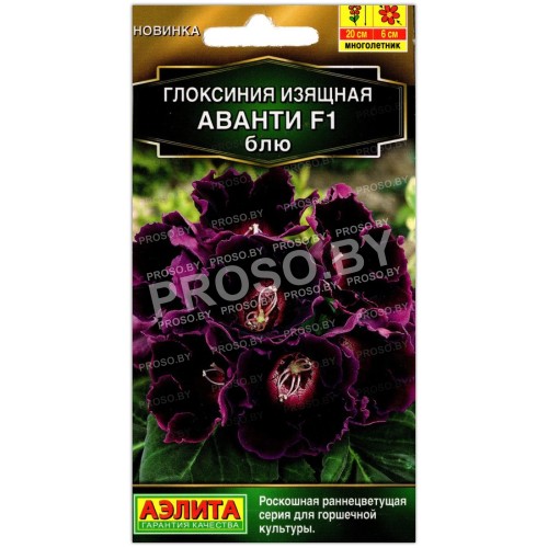 Глоксиния изящная Аванти блю F1