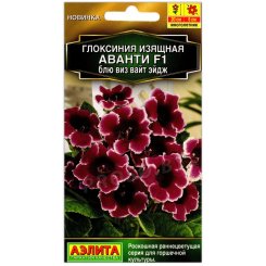 Глоксиния изящная Аванти блю виз вайт эйдж F1